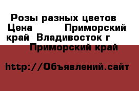 Розы разных цветов › Цена ­ 500 - Приморский край, Владивосток г.  »    . Приморский край